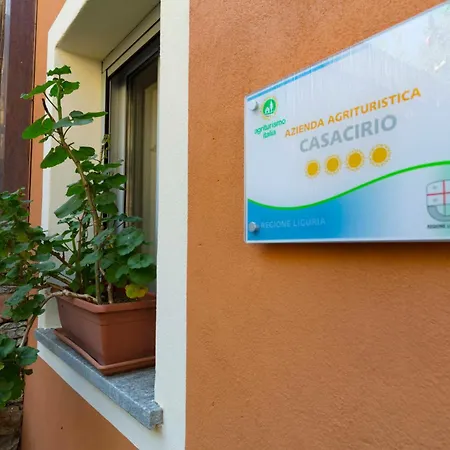 Casacirio