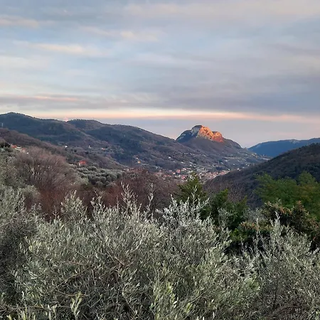 Casacirio